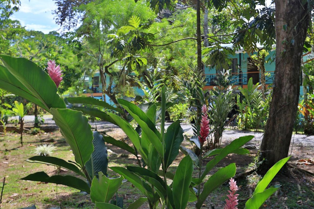 Manzanillo Caribbean Resort Puerto Viejo de Talamanca Esterno foto